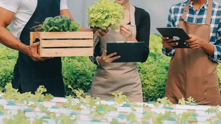 Smart Agriculture in Mauritius